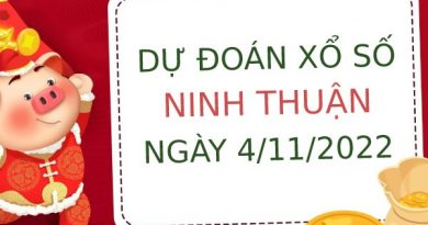 Dự đoán xổ số Ninh Thuận ngày 4/11/2022 thứ 6 hôm nay