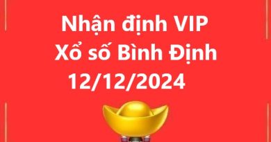 Nhận định VIP xổ số Bình Định 12/12/2024