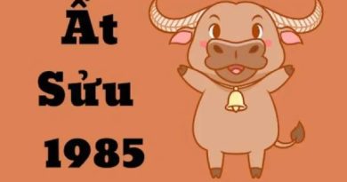 Bật mí cặp số đẹp cho tuổi Ất Sửu 19/2/2025 thứ 4