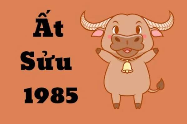 Bật mí cặp số đẹp cho tuổi Ất Sửu 19/2/2025 thứ 4