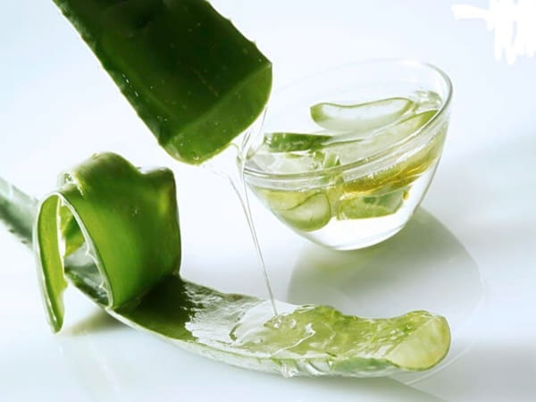 Cách trị rụng tóc bằng nha đam hiệu quả