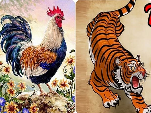 Tìm hiểu về tuổi Dậu và tuổi Dần