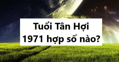 Tuổi Tân Hợi 1971 hợp số nào để đổi vận, tài lộc tăng?