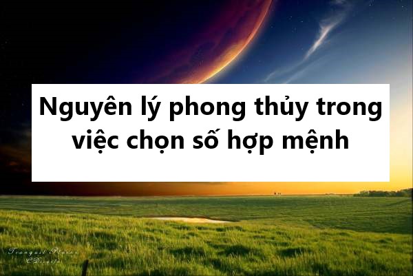 Nguyên lý phong thủy trong việc chọn số hợp mệnh