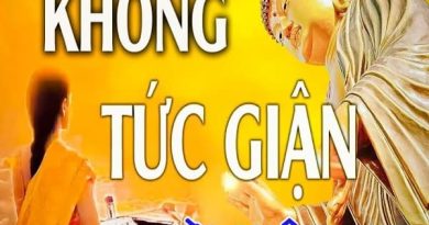 Lời Phật dạy không nóng giận giúp tâm hồn an lành sâu sắc Lời Phật dạy không nóng giận giúp tâm hồn an lành sâu sắc
