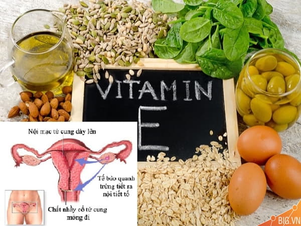 Dinh dưỡng giúp tăng khả năng đậu thai và vai trò của niêm mạc tử cung