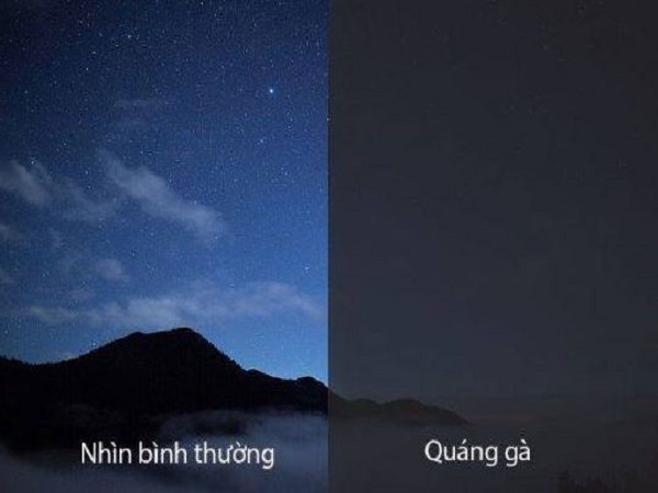 Quáng gà là gì?