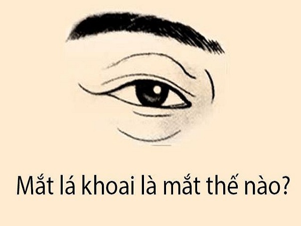 Mắt lá khoai là gì?